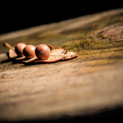 xt-s3-solar-camping-lantern product image